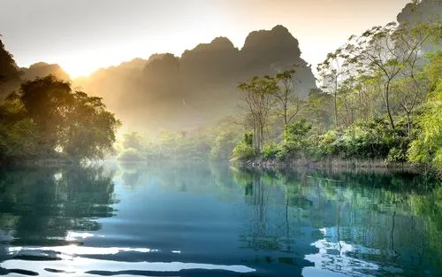 科技高标准高效